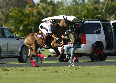 Photos from Zacara vs. Crab orchard