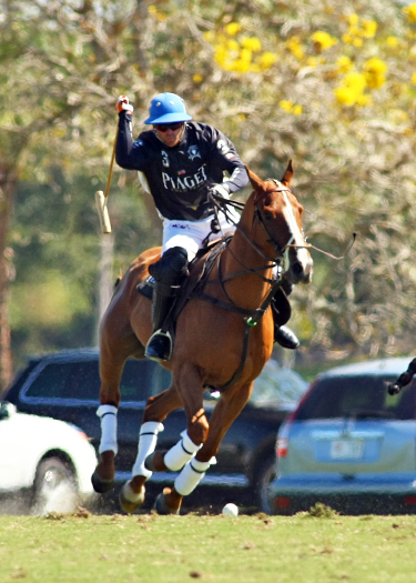 polotoppolotournamentalexpaceheco photos orchardhill polo team piaget
