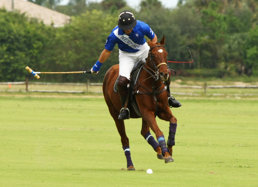 pachecopolomagazinephotospedromorrison2013polousa 2