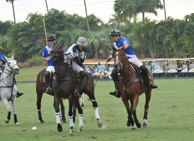 palmrestuarantinvitationalpolomagazinepolotournamentpachecopolophotos 4