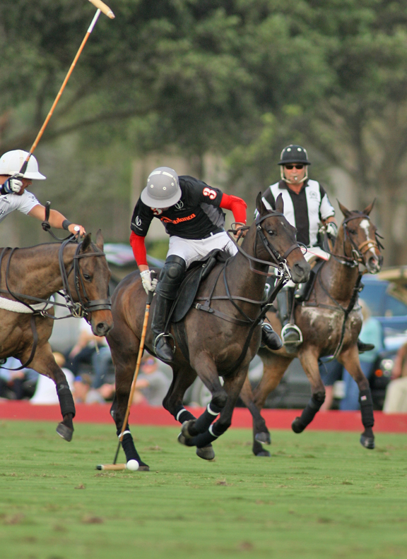herbiepennellpolotournamentpolomagazinealexpachecopolophotographs 4