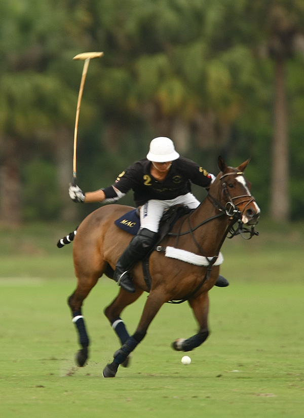 polomagazinepoloteamspolotournament2014 6