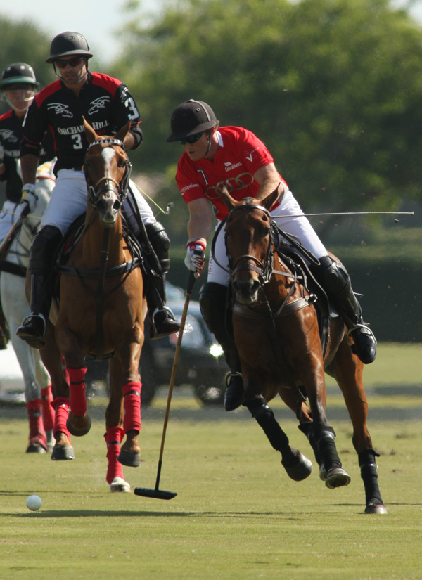 Photos-Bobby Barry Cup, Orchard Hill 13, Audi 6