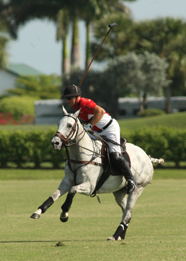 polophotopalmcitypoloclubpolomag 6